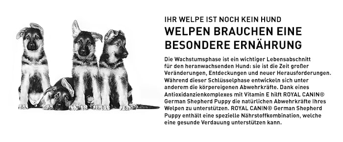 royal_canin_german_shepherd_puppy_welpen_nahrung.jpg