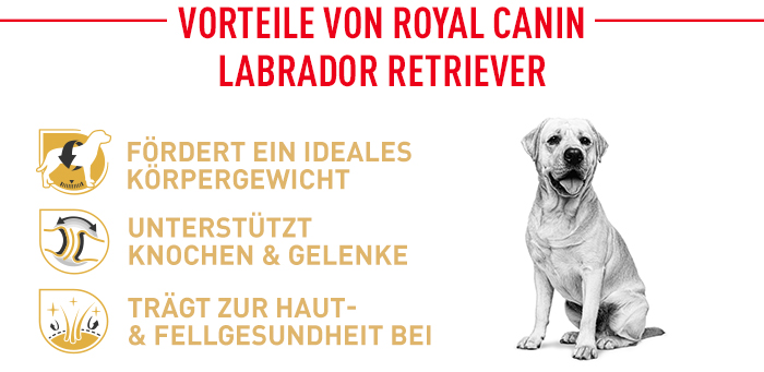 royal_canin_labrador_retriever_adult_vorteile.jpg