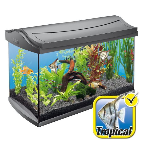 Tetra AquaArt Aquarium-Komplett-Set 60 Liter anthrazit