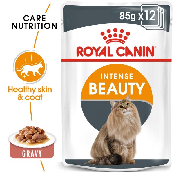ROYAL CANIN Intense Beauty Katzenfutter nass in Soße für schönes Fell