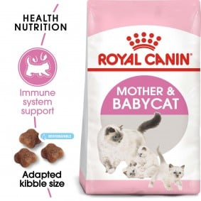 ROYAL CANIN MOTHER &amp; BABYCAT Katzenfutter für tragende Katzen und Kitten