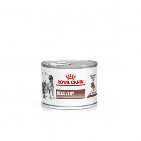 ROYAL CANIN RECOVERY