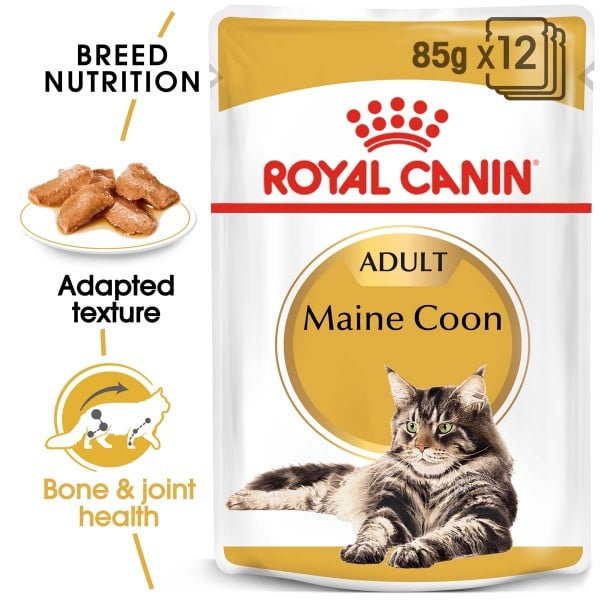 ROYAL CANIN ADULT Maine Coon 10kg + Nassfutter in Soße 48x85g