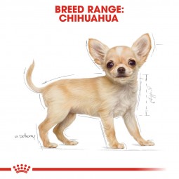 ROYAL CANIN Chihuahua Puppy Welpenfutter trocken