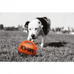 Bomber Hundespielzeug orange